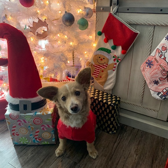 Meet your Posher, - Picture 5 of 13